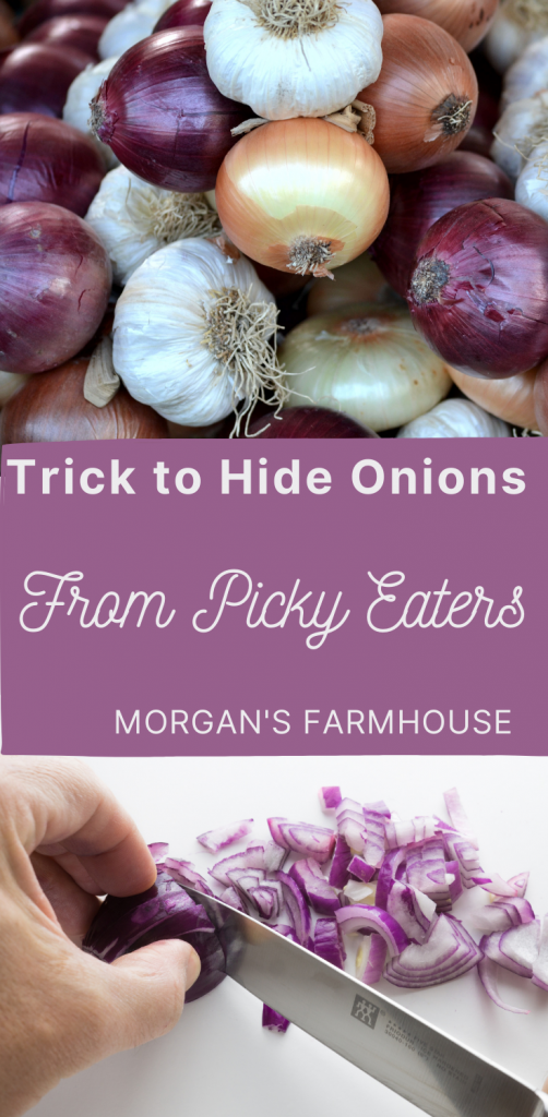 Hide onions from picky eaters