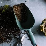 Compost dirt