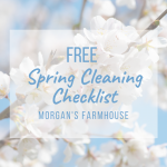 Spring Cleaning Checklist