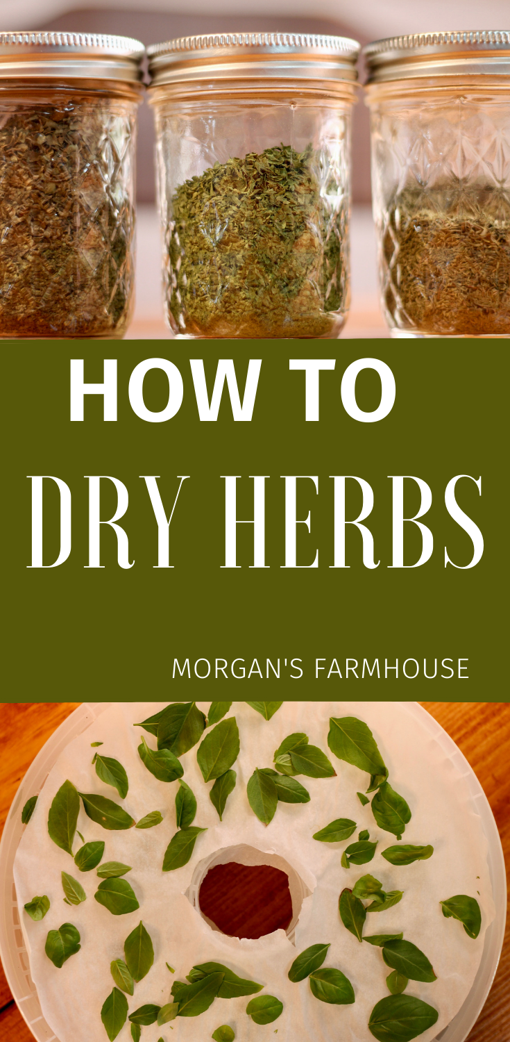 How to Dry Herbs in the Dehydrator Farmhouse