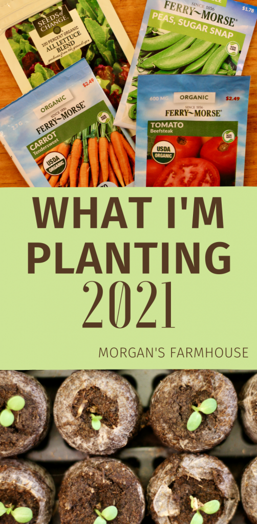 What I'm Planting 2021 Pin