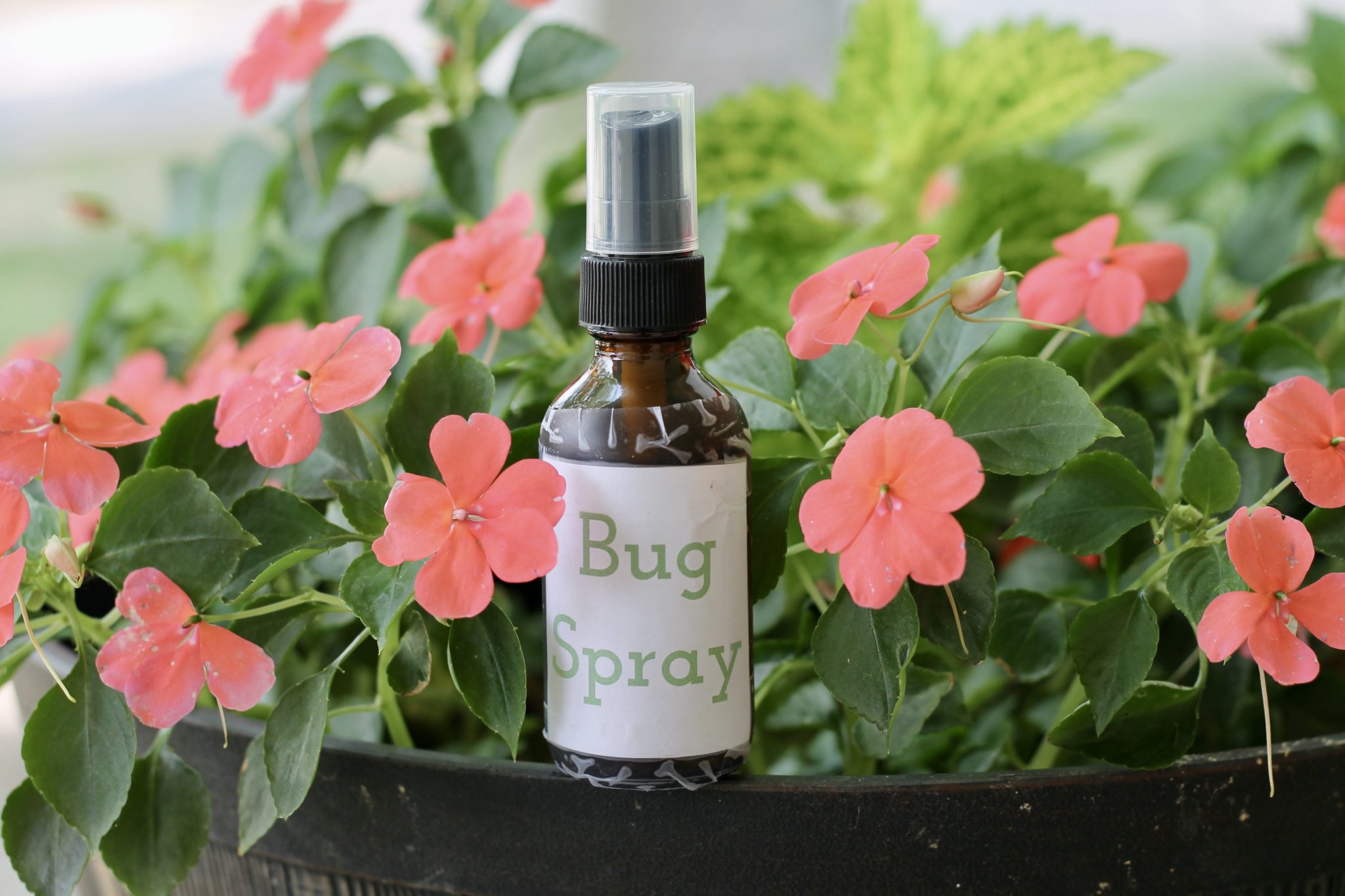 Insect Repellent Archives Morgan s Farmhouse