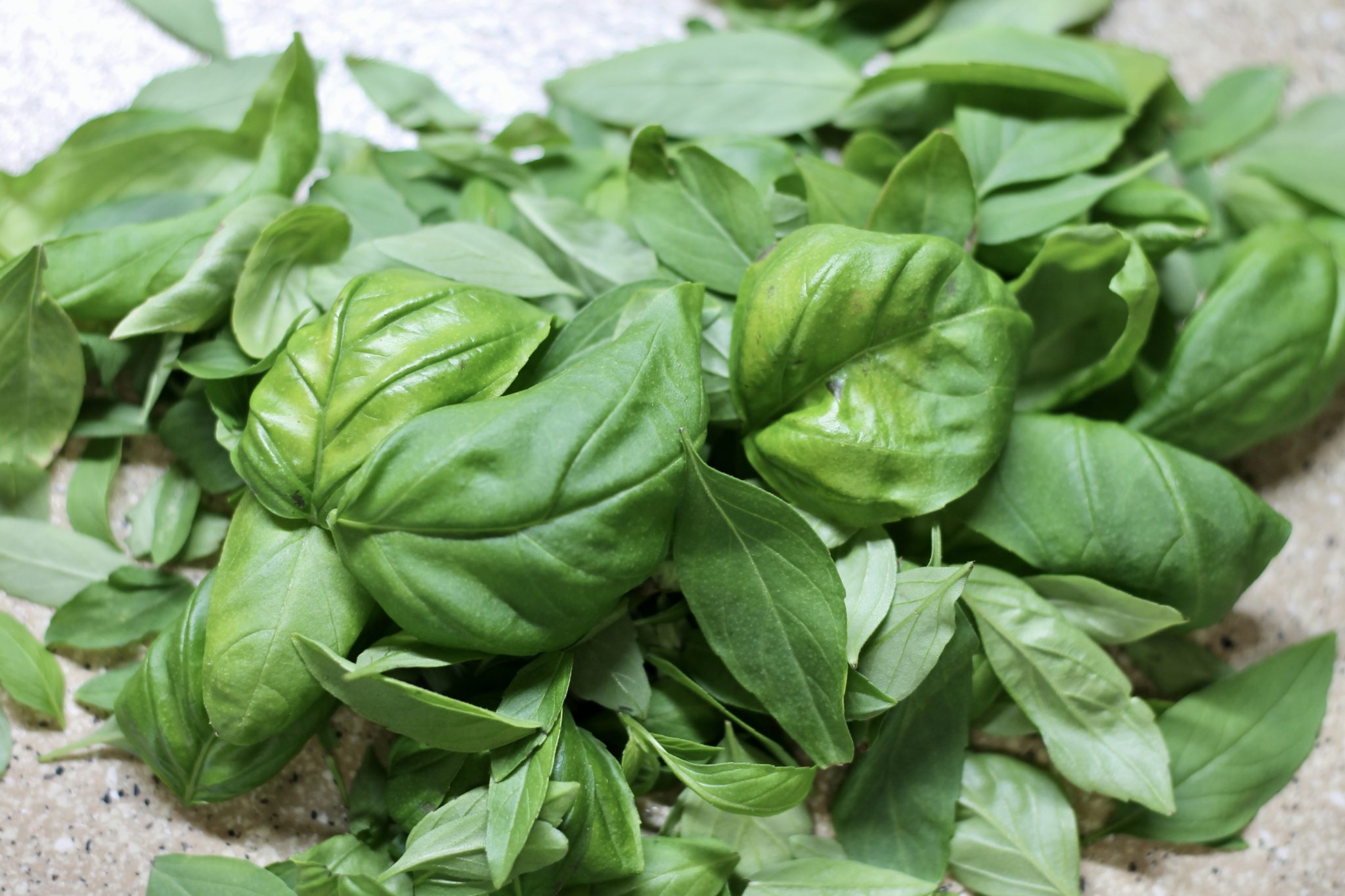 How to Freeze Herbs in Ice Cube Trays Farmhouse