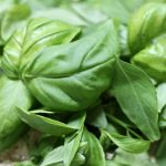 How to Freeze Herbs