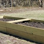 How to Build a Raised Garden Bed