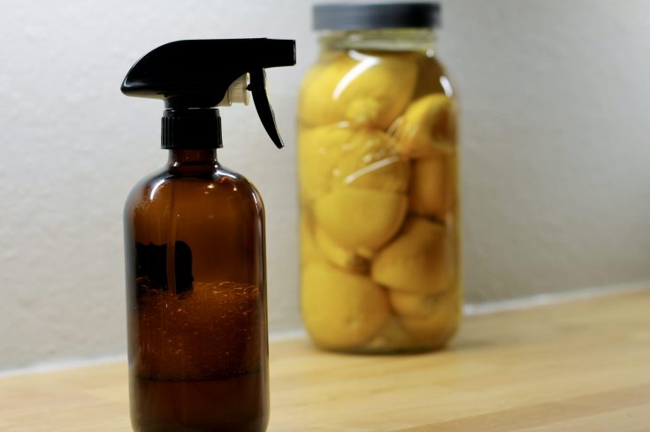 Lemon Vinegar Cleaning Spray