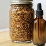 Willow Bark Tincture for Headaches