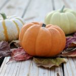 How to Keep Pumpkins Fresh Longer