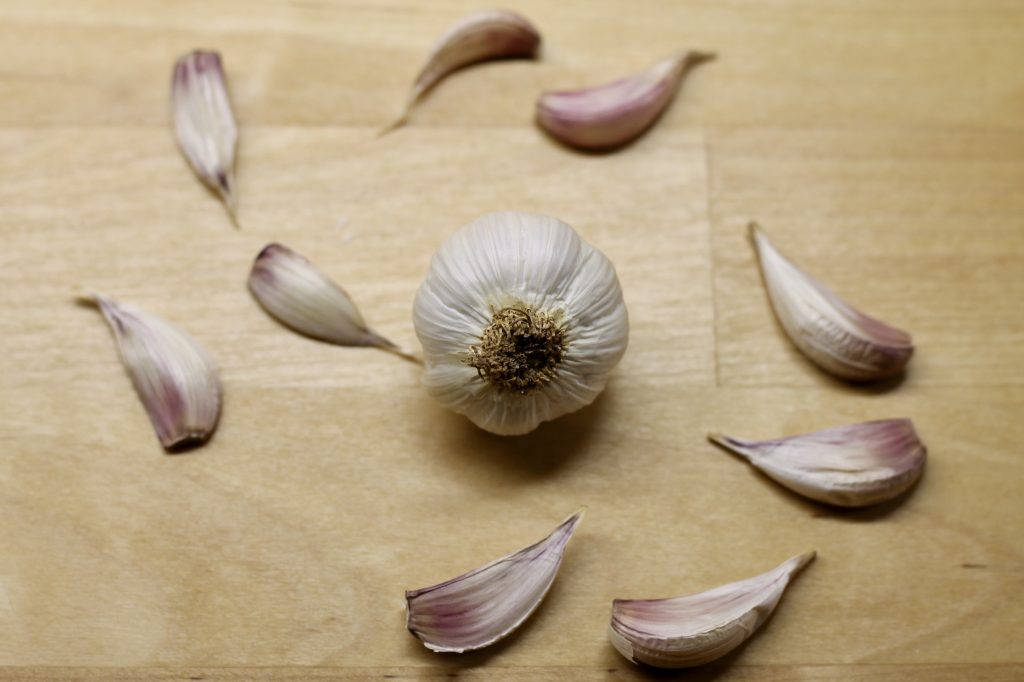 Plant Garlic in the Fall