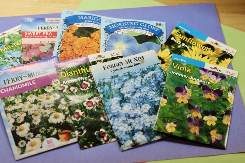 Seed bomb supplies, seed packets, blue and green construction paper 