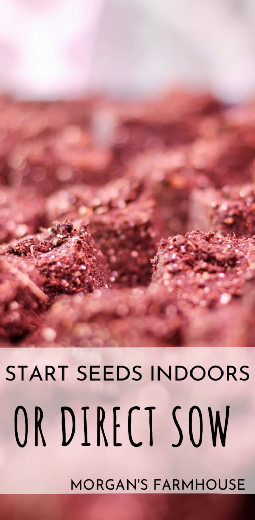 Start Seeds Indoors or Direct Sow