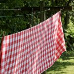 What is Modern Homesteading? Red and white checked table cloth hanging on clothesline