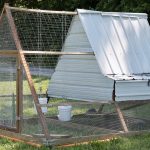 Chicken Tractor