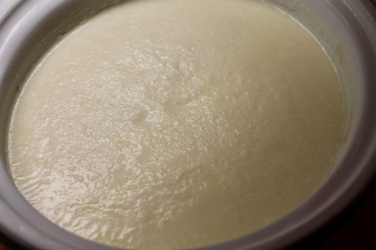 cooled beef tallow in a crock pot