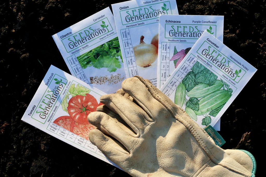 homestead garden with seed packets and garden gloves on fresh soil